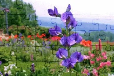 Toy jigsaw puzzle