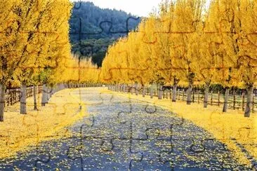 autumn#219 jigsaw puzzle