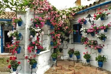 Patio de Cordoba