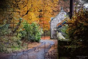 Autumn trees and Cottage jigsaw puzzle