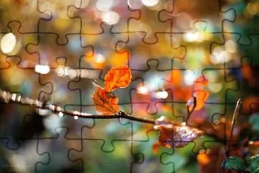 Autumn Bokeh jigsaw puzzle