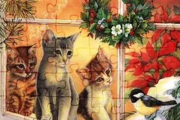 gatitos jigsaw puzzle