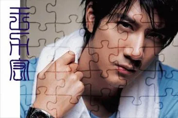 Taiwanese singer çŽ‹åŠ›å® jigsaw puzzle