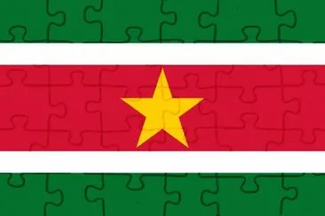 Suriname Flag