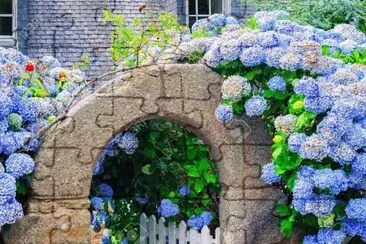 Fachada con hortensias