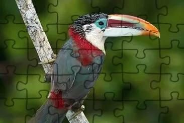 natural jigsaw puzzle