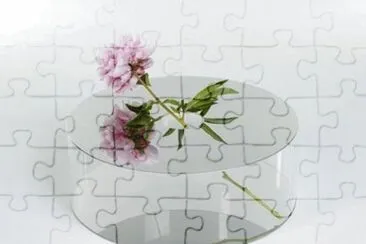 delicado jigsaw puzzle