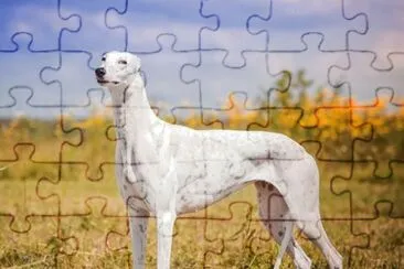 natural jigsaw puzzle