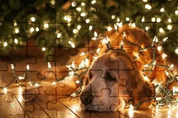 Natal jigsaw puzzle