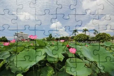 11 jigsaw puzzle