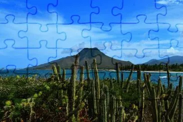 vzla jigsaw puzzle