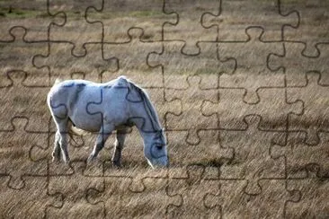 Brunch On A Windy Day jigsaw puzzle