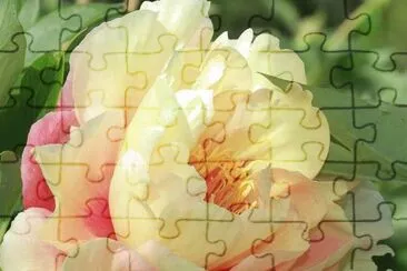 flores jigsaw puzzle