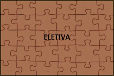 ELETIVA 4