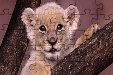 UN LEONCITO jigsaw puzzle