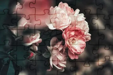 Rosal jigsaw puzzle