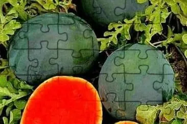 frutas jigsaw puzzle