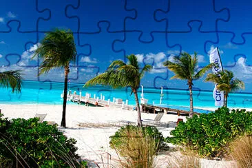 playa jigsaw puzzle