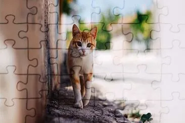 GATITOS jigsaw puzzle