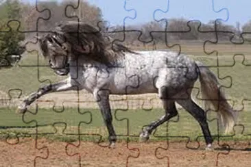 majestad jigsaw puzzle