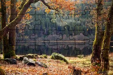 Loch Chon trees jigsaw puzzle