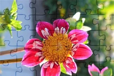 flores jigsaw puzzle