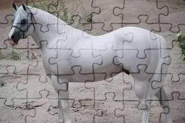 blanco jigsaw puzzle