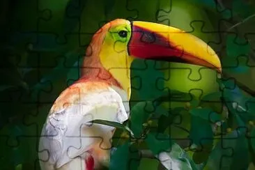 natural jigsaw puzzle