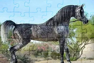 espectacular jigsaw puzzle