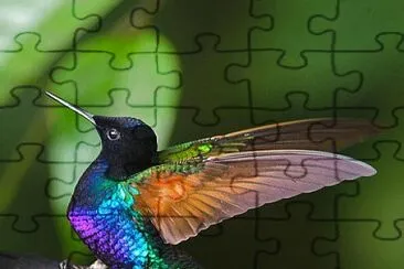 POLICROMIA jigsaw puzzle