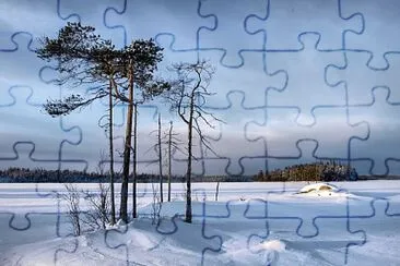 A062 jigsaw puzzle