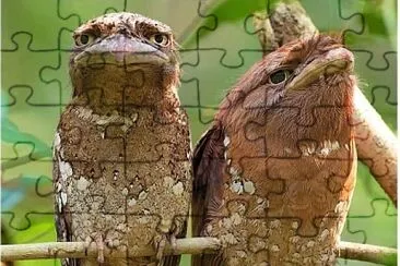 natural jigsaw puzzle