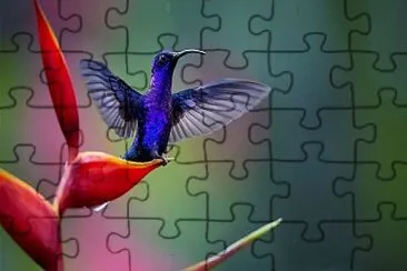 natural jigsaw puzzle