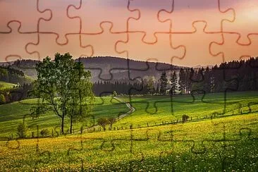 A065 jigsaw puzzle