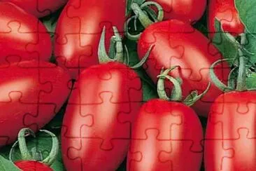 frutas jigsaw puzzle