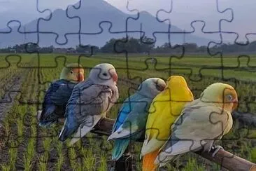 natural jigsaw puzzle