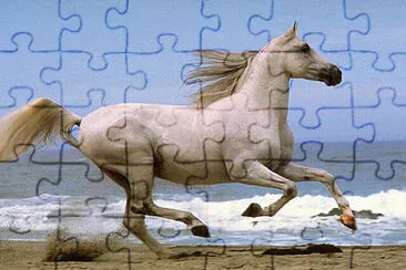 blanco muy antiguo jigsaw puzzle