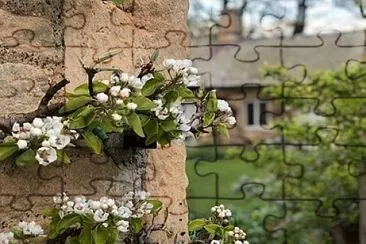 flores jigsaw puzzle