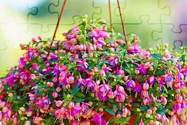 flores jigsaw puzzle