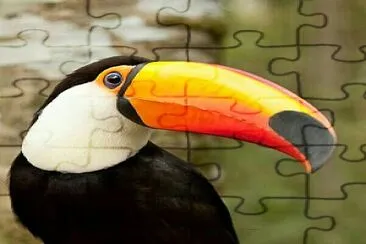 Tucano jigsaw puzzle