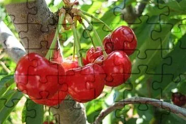 imagem jigsaw puzzle