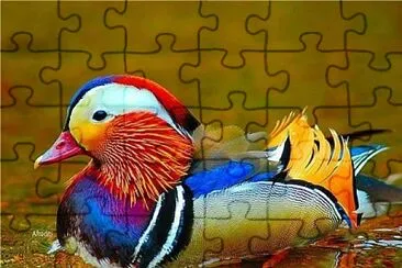 3we34 jigsaw puzzle