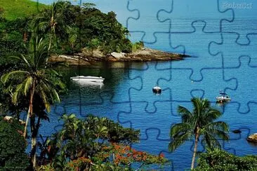 vzla jigsaw puzzle