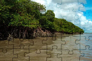 vzla jigsaw puzzle