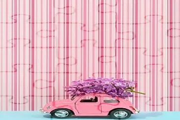 Fusca Rosa