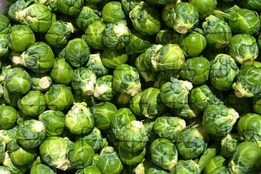 brussels sprouts jigsaw puzzle