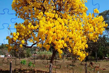 פאזל של NATURALEZA