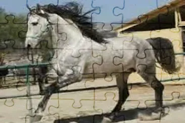 salpicado jigsaw puzzle