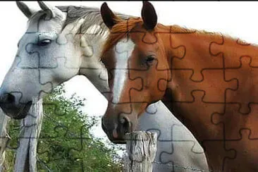 tremendo duo jigsaw puzzle