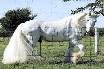 percheron albino jigsaw puzzle